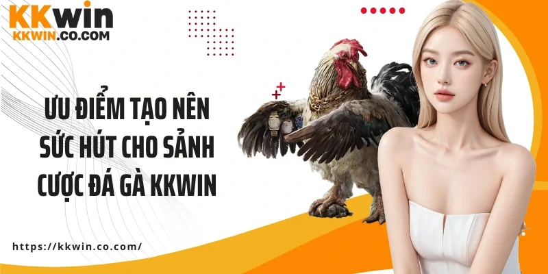Ưu điểm tạo nên sức hút cho sảnh cược đá gà KKWIN